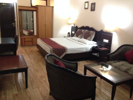 Hotel Krishna Luxury Room
