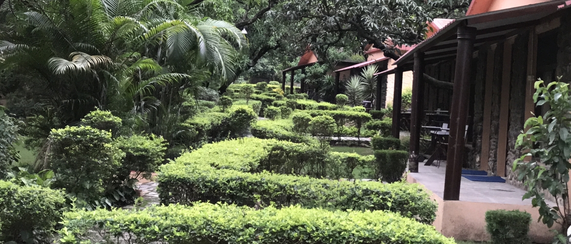 Krishna Wilderness Retreat, Viil. Dhikuli, Ramnagar